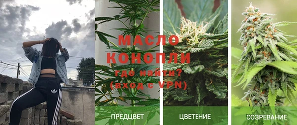 молекула духа Верея