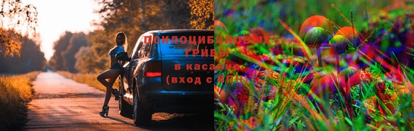 прущие крисы Верхнеуральск