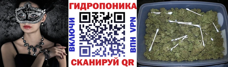 Шишки марихуана ГИДРОПОН Качканар